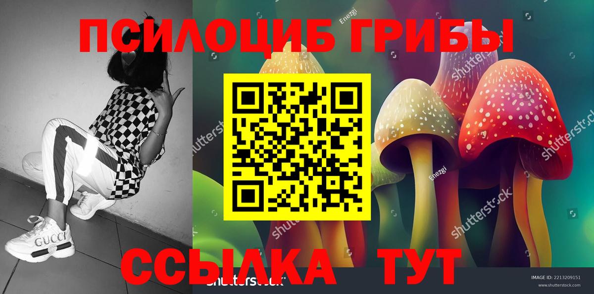 Галлюциногенные грибы GOLDEN TEACHER Воронеж